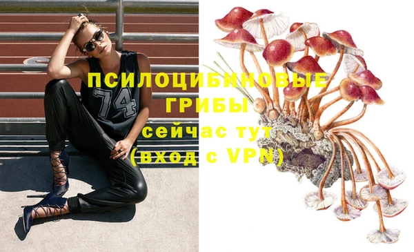 гашик Алексеевка
