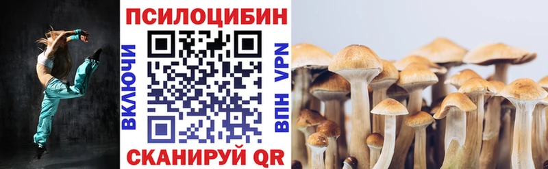 blacksprut зеркало  дарнет шоп  Южно-Сухокумск  Галлюциногенные грибы прущие грибы 